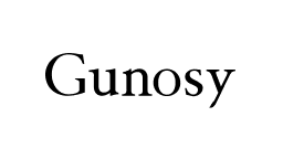 株式会社Gunosy